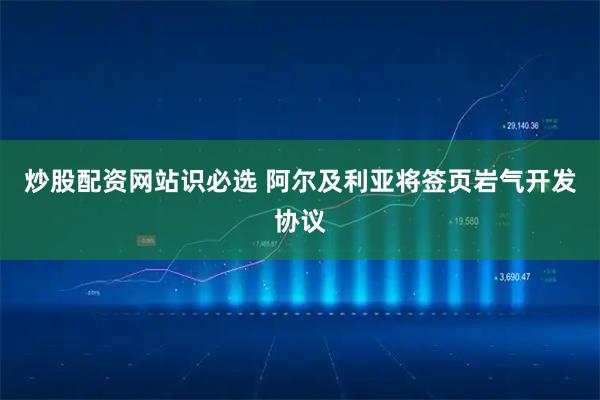炒股配资网站识必选 阿尔及利亚将签页岩气开发协议