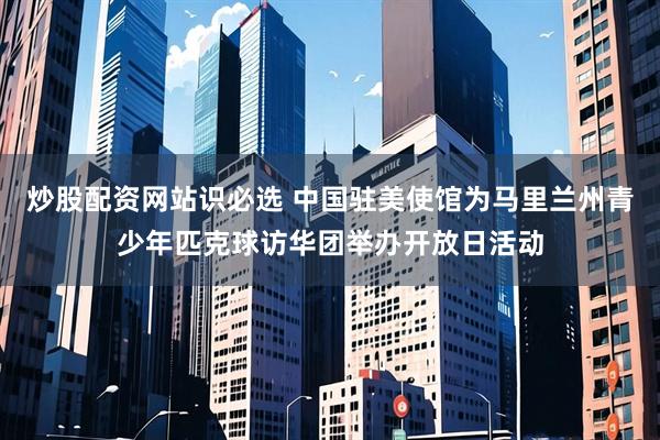 炒股配资网站识必选 中国驻美使馆为马里兰州青少年匹克球访华团举办开放日活动
